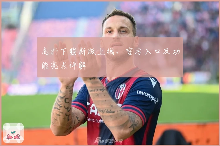 虎扑下载新版上线，官方入口及功能亮点详解