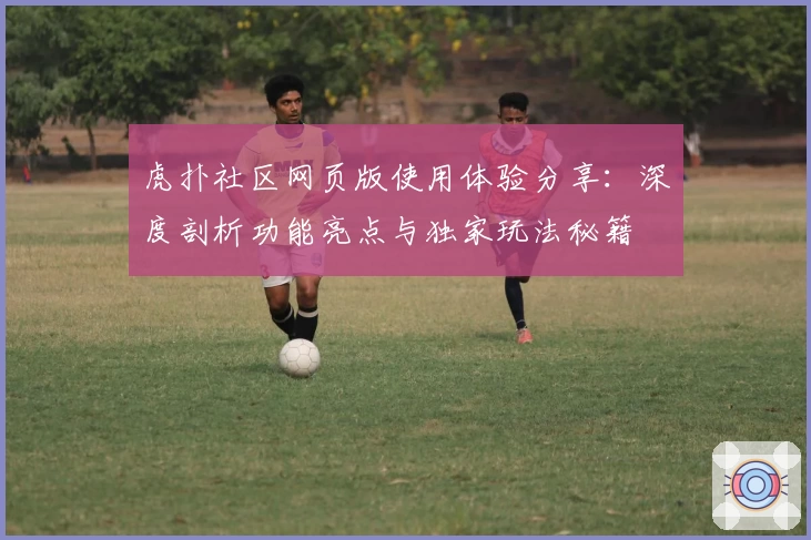 虎扑社区网页版使用体验分享：深度剖析功能亮点与独家玩法秘籍