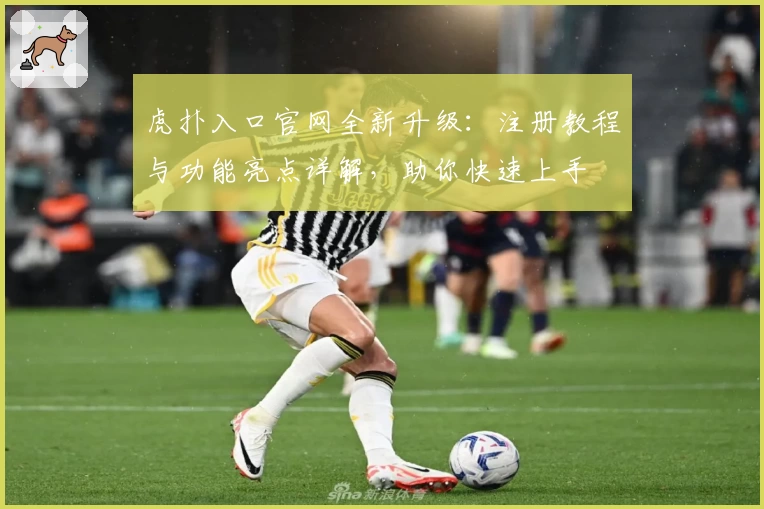 虎扑入口官网全新升级：注册教程与功能亮点详解，助你快速上手