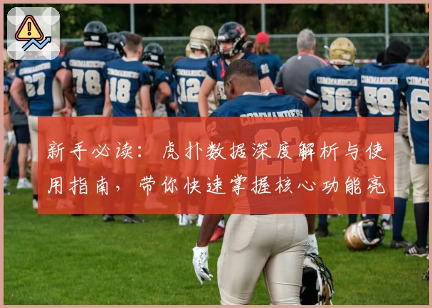 新手必读：虎扑数据深度解析与使用指南，带你快速掌握核心功能亮点