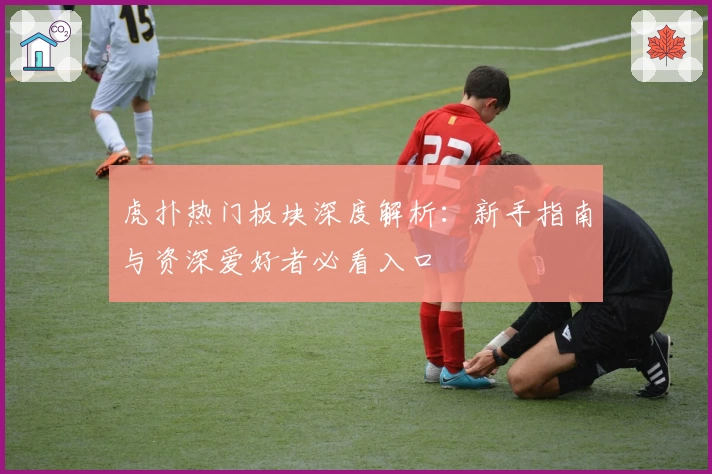 虎扑热门板块深度解析：新手指南与资深爱好者必看入口